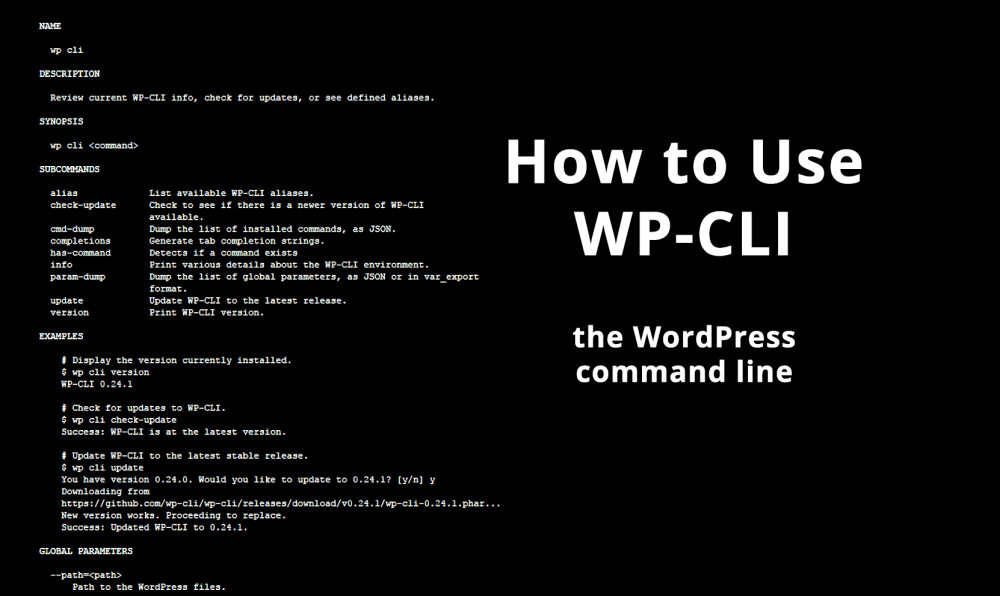 Install WordPress through CLI in few seconds