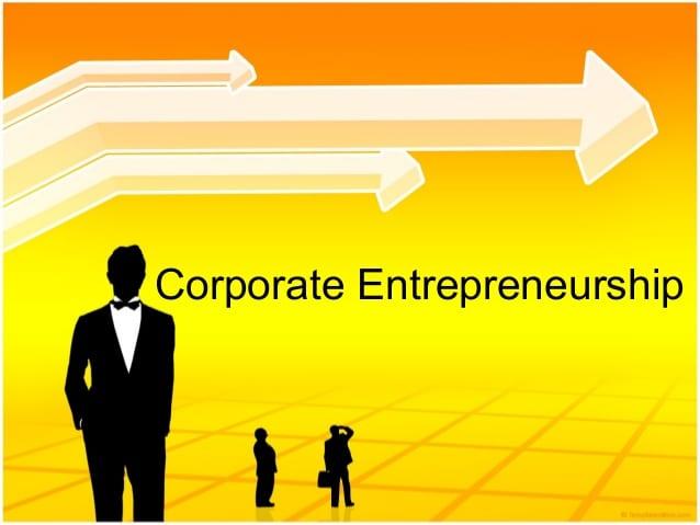 Development from Corporate to Entrepreneurship